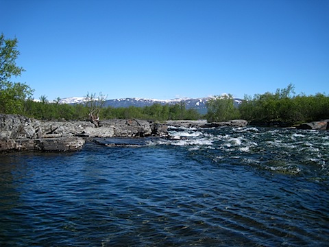 Abisko Juni 2009 dag 6 - 09.jpg